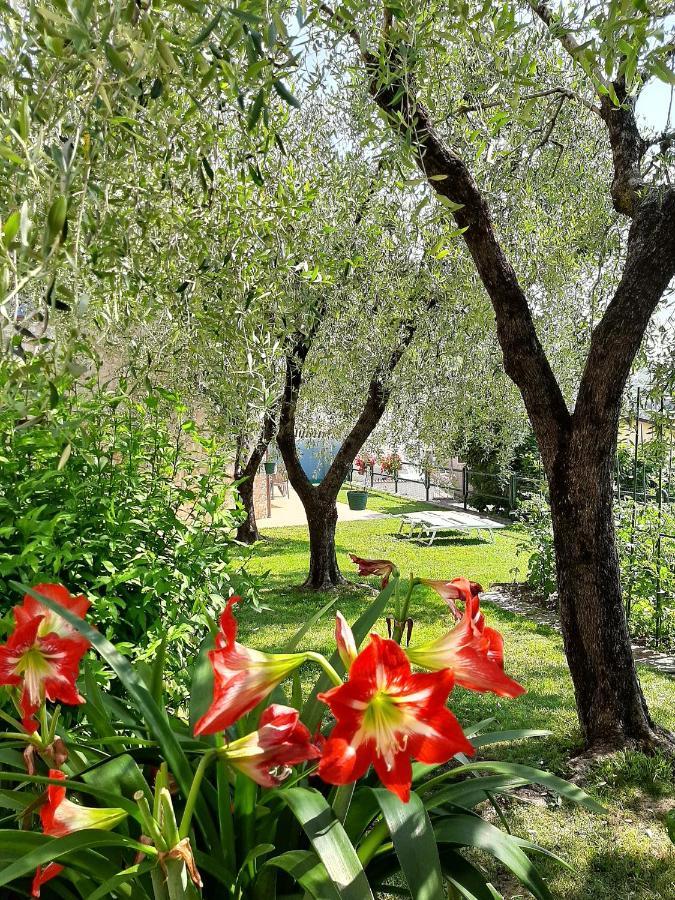 Apartment Maria Brenzone sul Garda Exterior foto
